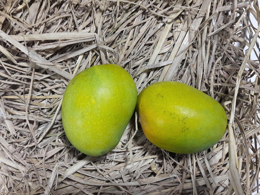 Badami Mango - 3KG [100% Organic & Naturally Ripened]