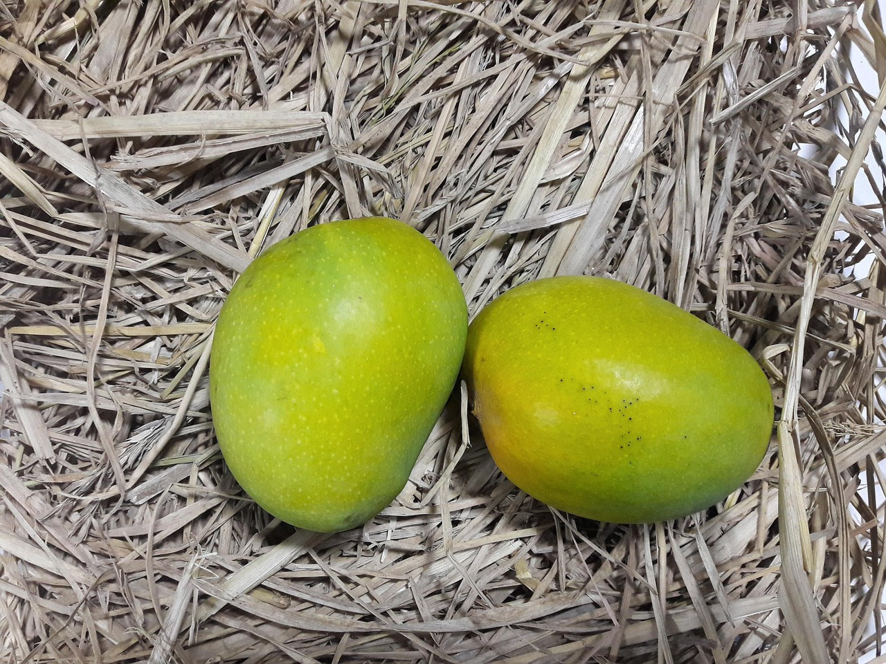 Badami Mango - 3KG [100% Organic & Naturally Ripened]