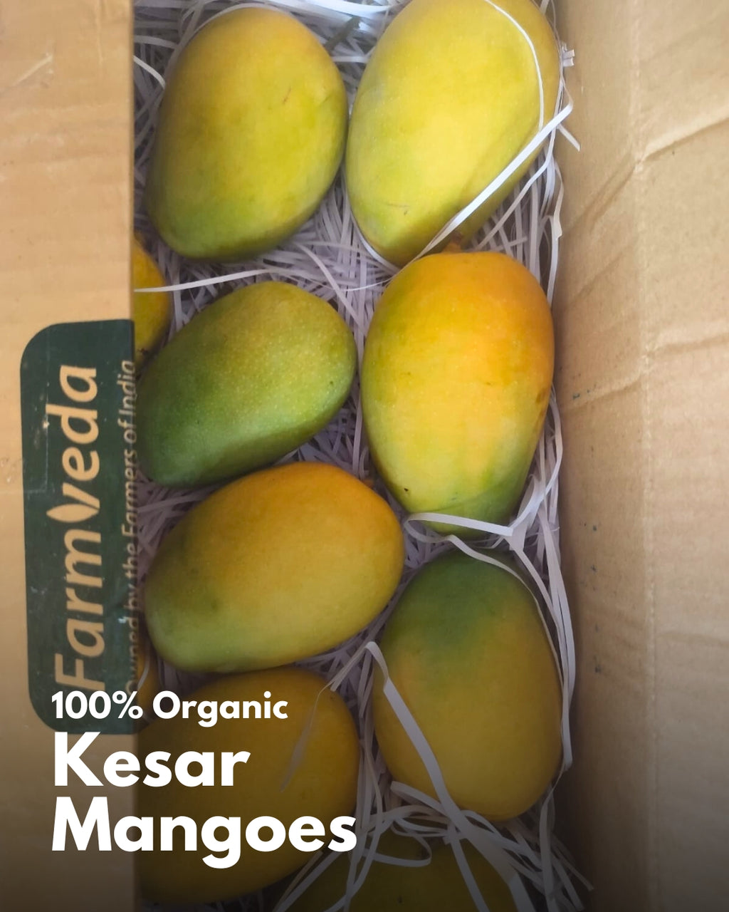Kesar Mango - 3KG [100% Organic & Naturally Ripened]