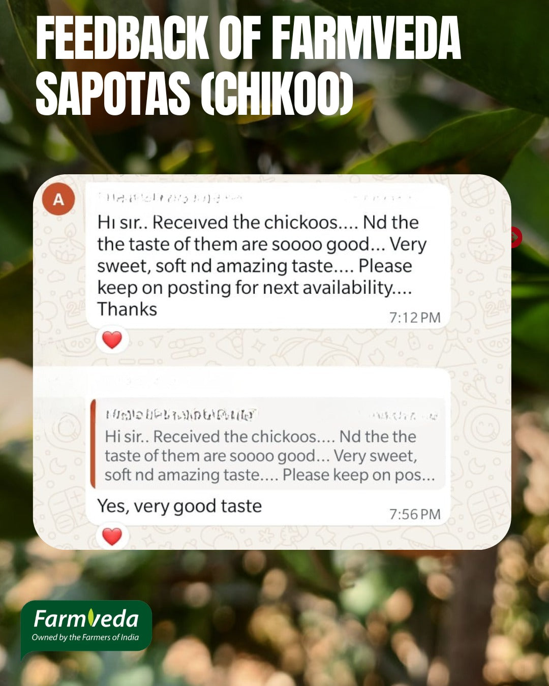 Sapota (Chikoo) - 1KG [100% Organic & Naturally Sweet]
