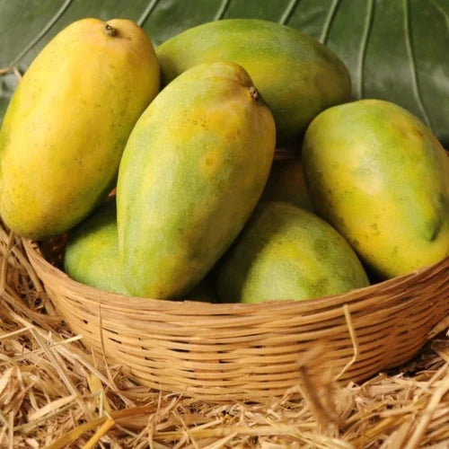 Himayat Mango - 3KG [100% Organic & Naturally Ripened]